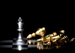 investment management